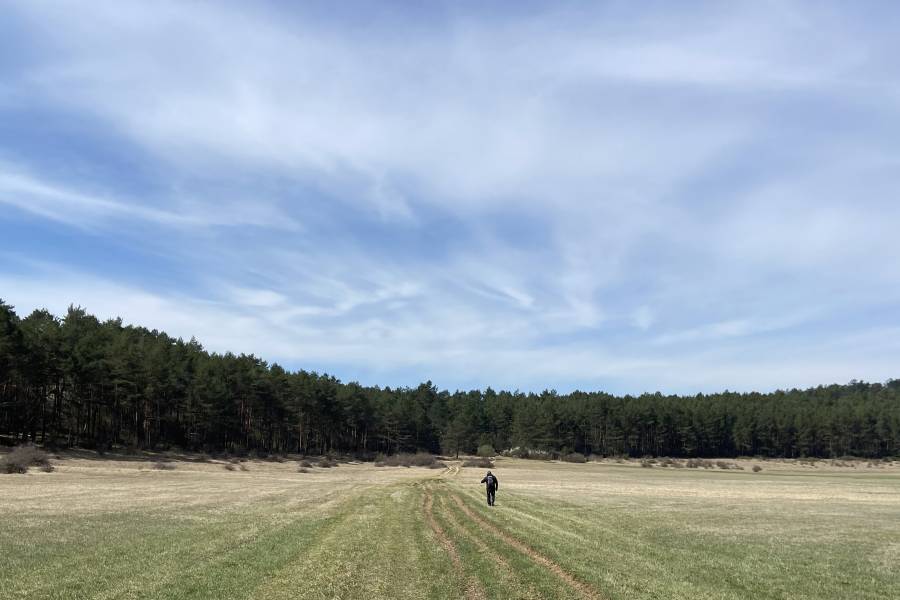 Predstavitev knjižice Cvetje Pivških jezer