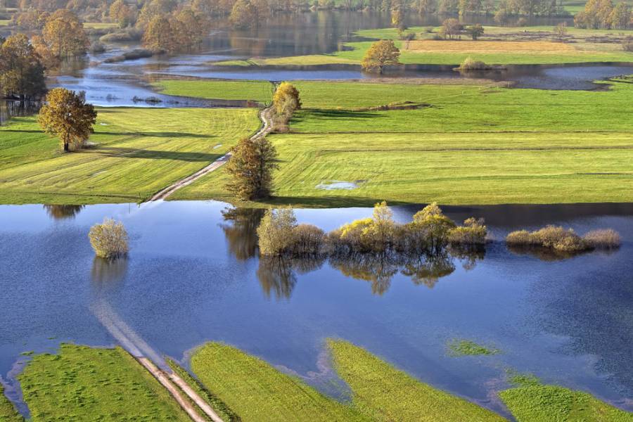 Krepitev podjetništva na podeželju in v varovanih območjih.