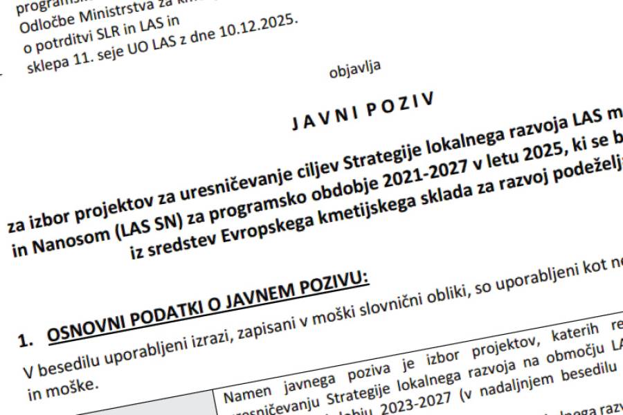 OBJAVLJEN JE 3. JAVNI POZIV LAS med Snežnikom in Nanosom